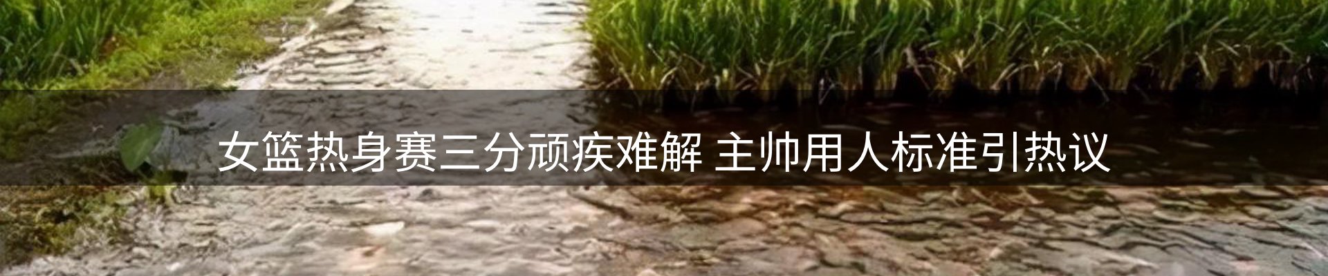 品牌资讯