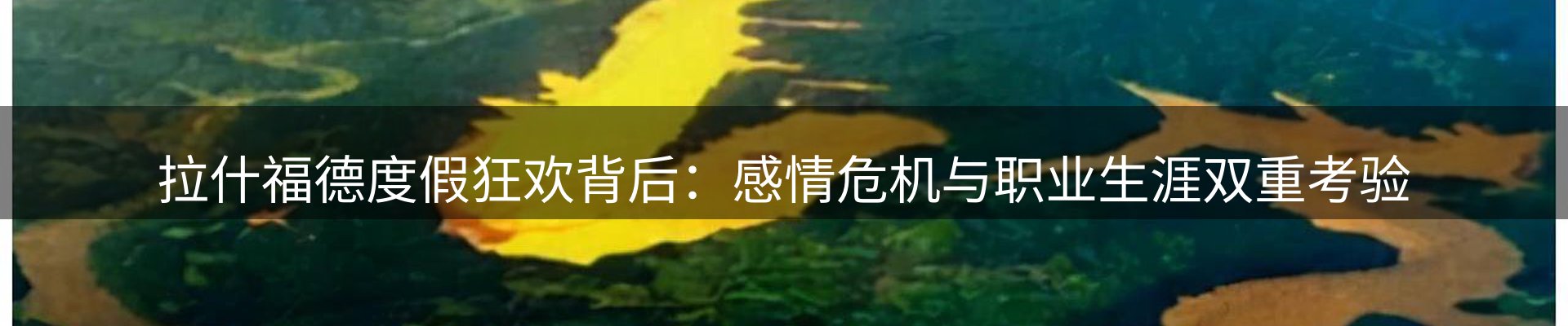 品牌资讯