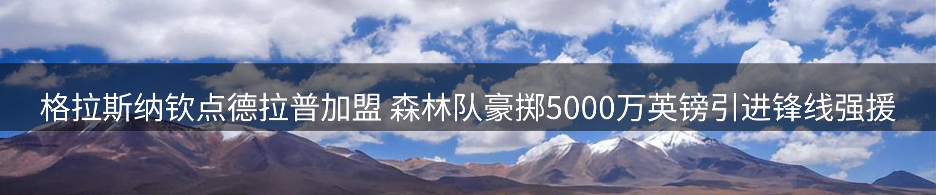 品牌资讯