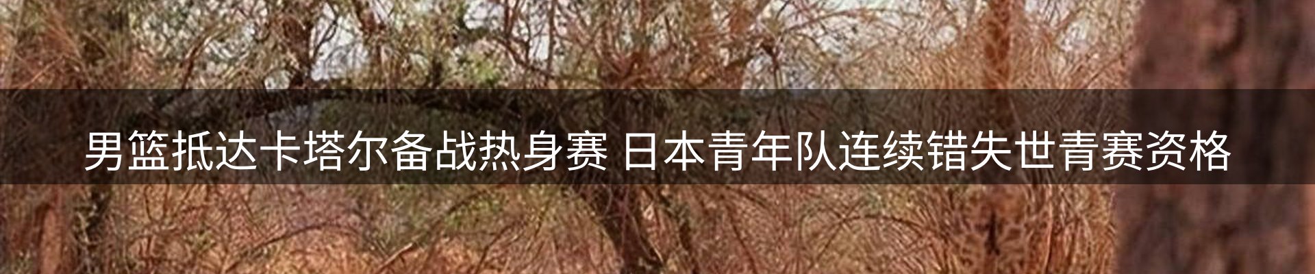品牌资讯